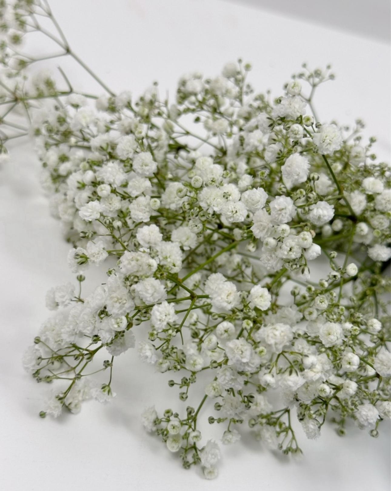 BOUQUET BOX PREMIUM